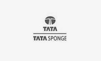 tata-tata-sponge